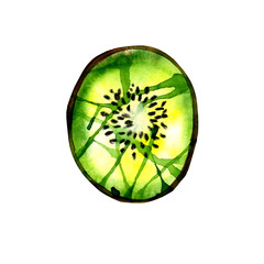 Delicious juicy green kiwi. Set of fruits. Kiwi slices.