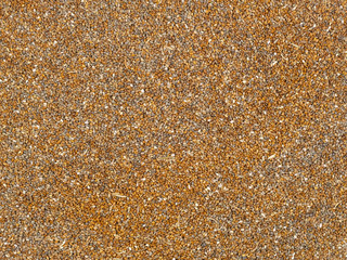 sesame seeds in a bowl