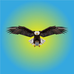 200429_Aigle_03_02