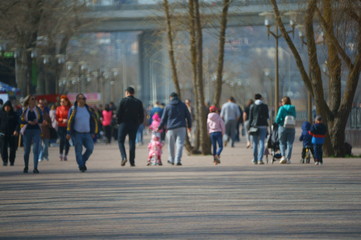 people walking in the city