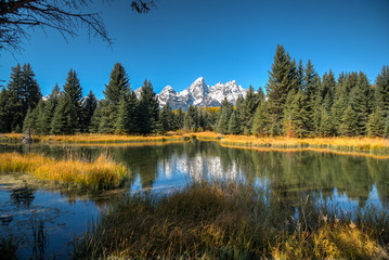 Grand Teton National Park, Schwabacher's Landing