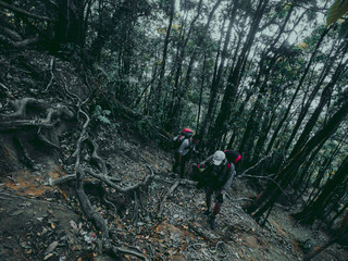 man walking in the forest