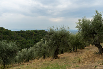 View of the hills in Tuscany, Chianti, from the city of Vinci, Italy