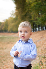 Portrait of a little blond boy on a background of autumn foliage in a park