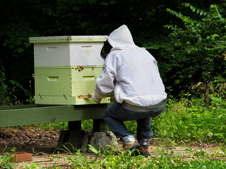 Duck taping my bee suite for added protection as I inspect my beehive for honey