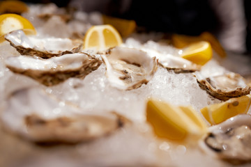 Cooled oysters refrigerated on ice with lemon 