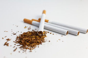 Tobacco. Cigarettes on a white background.
