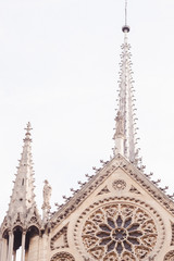 Fototapeta na wymiar Notre Dame Roof