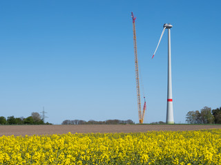 Windkraftanlage - Eingriff in Natur und Landschaft