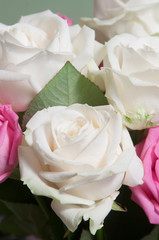 Roses posy over green background