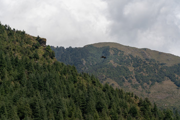 mountains in the mountains