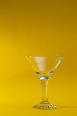 Glass of Martini