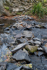 stream over rocks