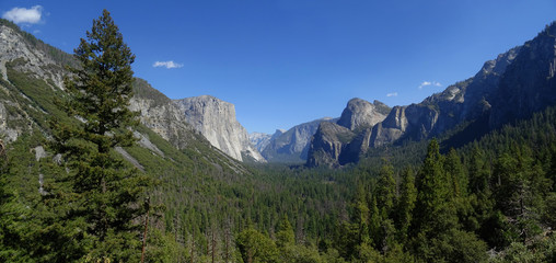 Fototapeta na wymiar Landscape of Yosemite Valley from the Tunnel Viewpoint during the summer. California. USA.