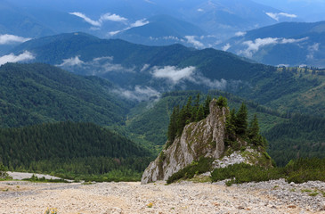 Fototapeta na wymiar Mountain peak over the forest