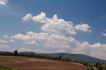 Krajobraz Toskanii - Włochy - obrazy, fototapety, plakaty