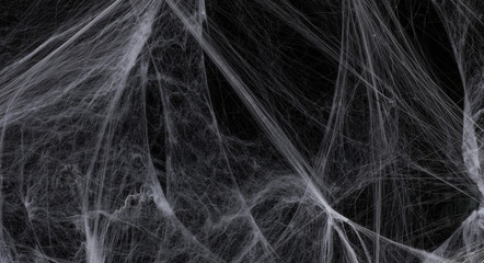 scary halloween background with white spider web on black background