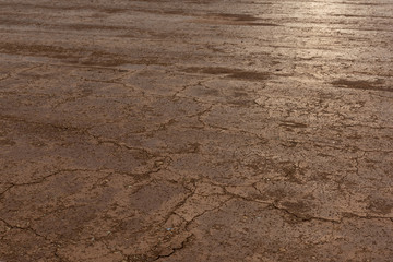 Dry cracked earth ground sunlight reflection background texture