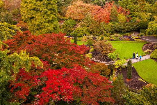 Beautiful autumn colors at Queen Elizabeth Park in Vancouver, British Columbia, Canada