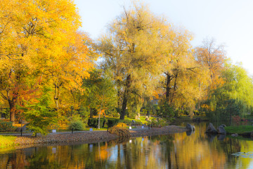 Fototapeta na wymiar Autumn foliage with dreamy orton filter. Japanese garden in Kadriorg park. Tallinn, Estonia.