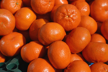 Spanish tangerines on the market. Harvest of mandarin closeup