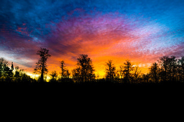 Fototapeta premium Picturesque, stunning sunrise over the forest