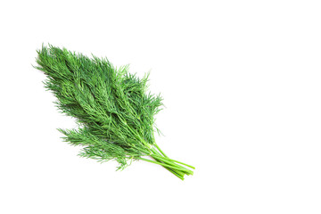A bunch of dill on a white isolated background. Seasoning, Fresh herbs. Flat lay, copy space.