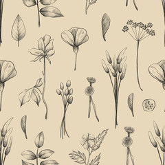 Seamless pattern with flowers and plants, summer herbarium, pencil illustrations, vintage background