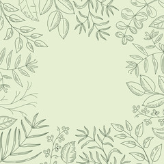 Herbs frame with place for text. Hand drawn sketches.