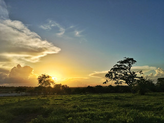 Natureza é algo maravilhoso!!
Foto autoral.