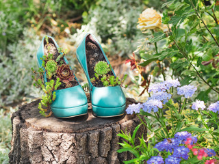 Flowerbed shoes. Blue second hand stilettos, high heels, upcycled into eco friendly planters,...