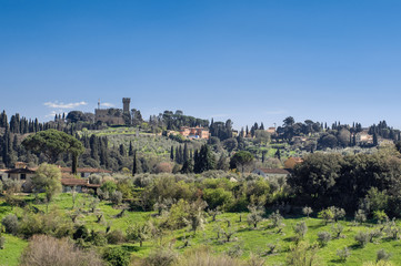 Fototapeta na wymiar Panoramic view from from the Boboli Gardens. Torre del Gallo.