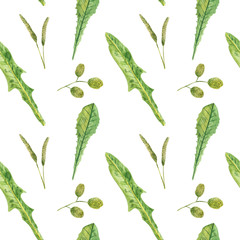 Colorful seamless pattern with watercolor meadow herbs on white background