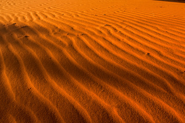 ripples in the sand