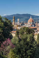 Cathedral of Saint Mary of the Flower (Cattedrale di Santa Maria del Fiore) in Florence, Tuscany, Italy. - 344266061
