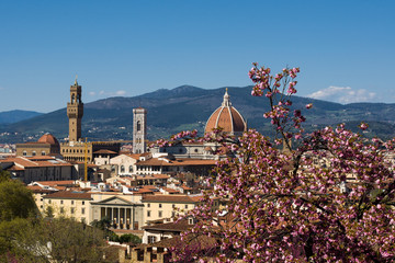 Cathedral of Saint Mary of the Flower (Cattedrale di Santa Maria del Fiore) and Judas Tree (European redbud) in the foreground. Florence, Tuscany, Italy. - 344266835