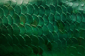 Fish scales dark green color texture carved in stone