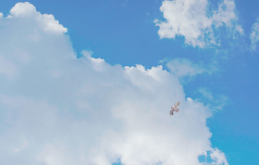 Fotografía de un papalote volando en el cielo azul rodeado de nubes blancas 
