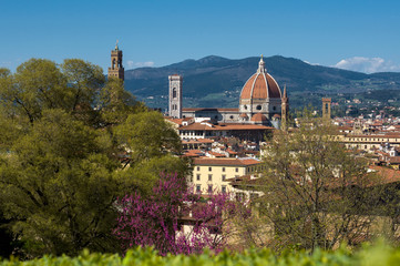Spring view of the Cathedral of Saint Mary of the Flower (Cattedrale di Santa Maria del Fiore) and white pink trees in the foreground. Florence, Tuscany, Italy. - 344267498