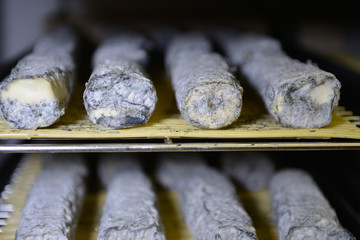 well ripened goat and ewe cheeses in cellar ripening  with grey and white mould