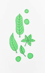 Leaf Set. Hand-drawn decorative elements, doodle floral elements. Black line ink hand drawn art. White background ready for copywriting. Perfect for invitations, greeting cards, posters, prints.