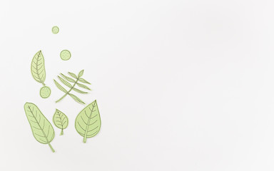 Leaf Set. Hand-drawn decorative elements, doodle floral elements. Black line ink hand drawn art. White background ready for copywriting. Perfect for invitations, greeting cards, posters, prints.