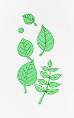 Leaf Set. Hand-drawn decorative elements, doodle floral elements. Black line ink hand drawn art. White background ready for copywriting. Perfect for invitations, greeting cards, posters, prints.