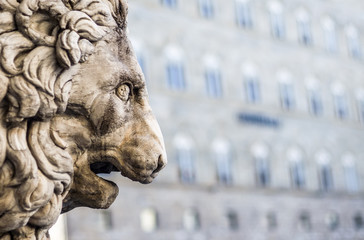 Fancelli's ancient lion - Medici lion. Marble sculpture displayed at the Loggia dei Lanzi, Piazza della Signoria, Florence, Tuscany, Italy. Focus on eye.