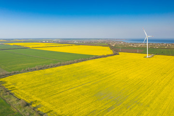 aerial view to yellow rapseed fields and one wind turbine under blue sky