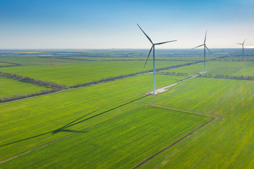 aerial view to wind generators in green wheat fields with long shadows under blue sky and copy space