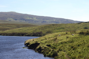 Fototapeta na wymiar Skye island, Scotland