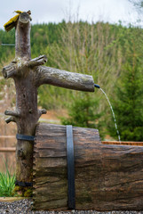 Brunnen mit Frischwasser