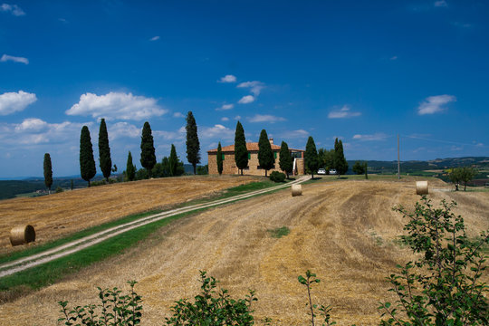 Krajobraz Toskanii z cyprysami - Włochy