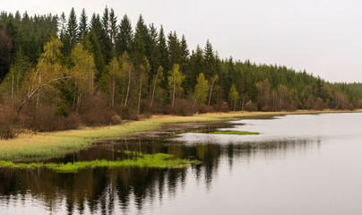 Fototapeta na wymiar Tanner Moor Rubner Teich Panorama